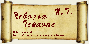 Nebojša Tepavac vizit kartica